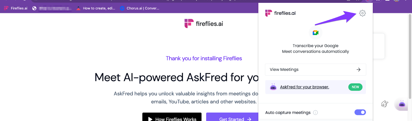 Fireflies Chrome Extension Settings