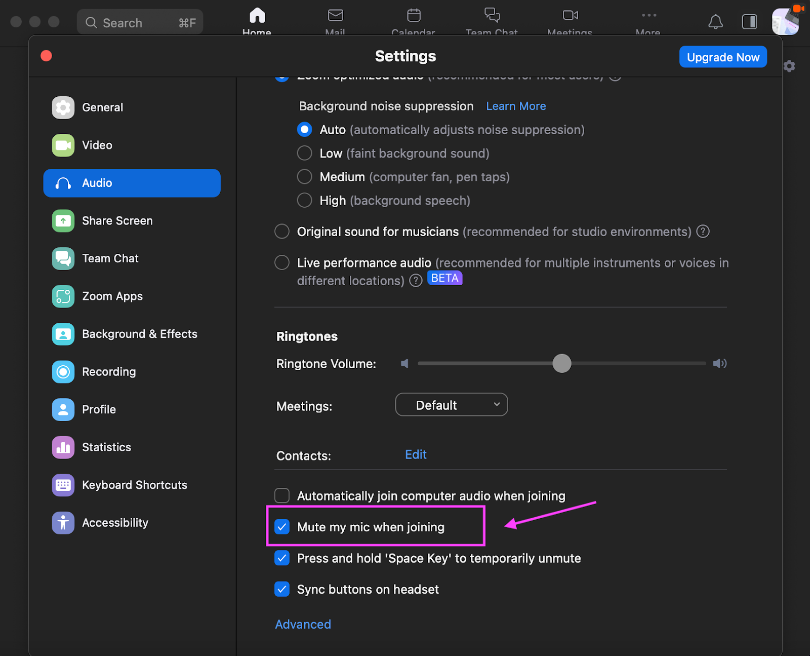 how-to-mute-a-zoom-meeting-mobile-pc