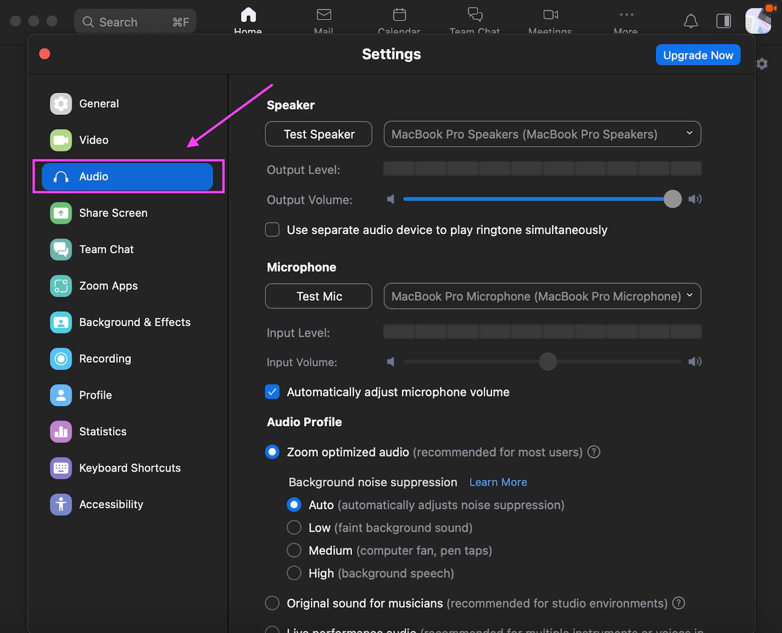 how to mute zoom on mac