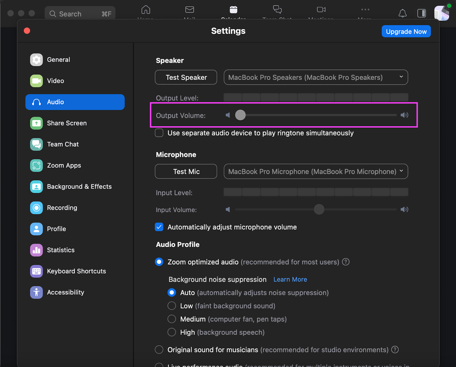 How to mute entire meeting audio in a Zoom meeting