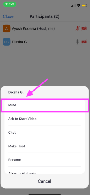 How to mute other participants in a Zoom meeting on mobile