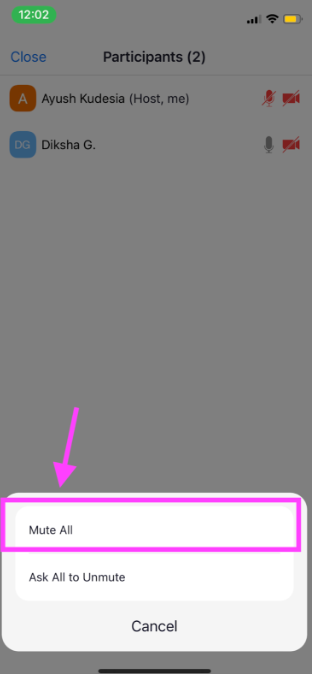 How to mute other participants in a Zoom meeting on mobile