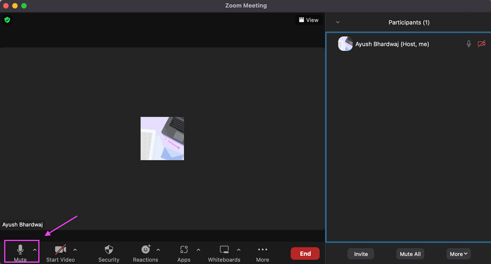 How To Mute a Zoom Meeting (Mobile & PC)