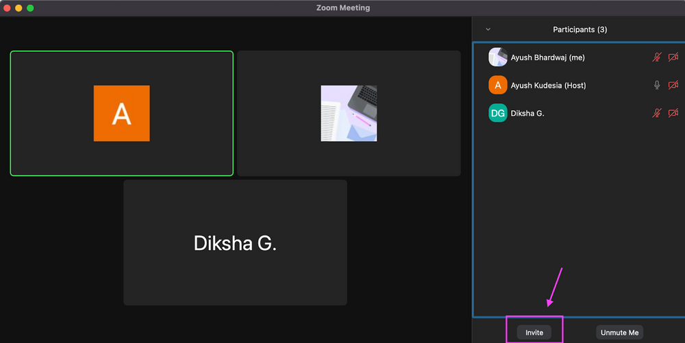 How To Mute a Zoom Meeting (Mobile & PC)