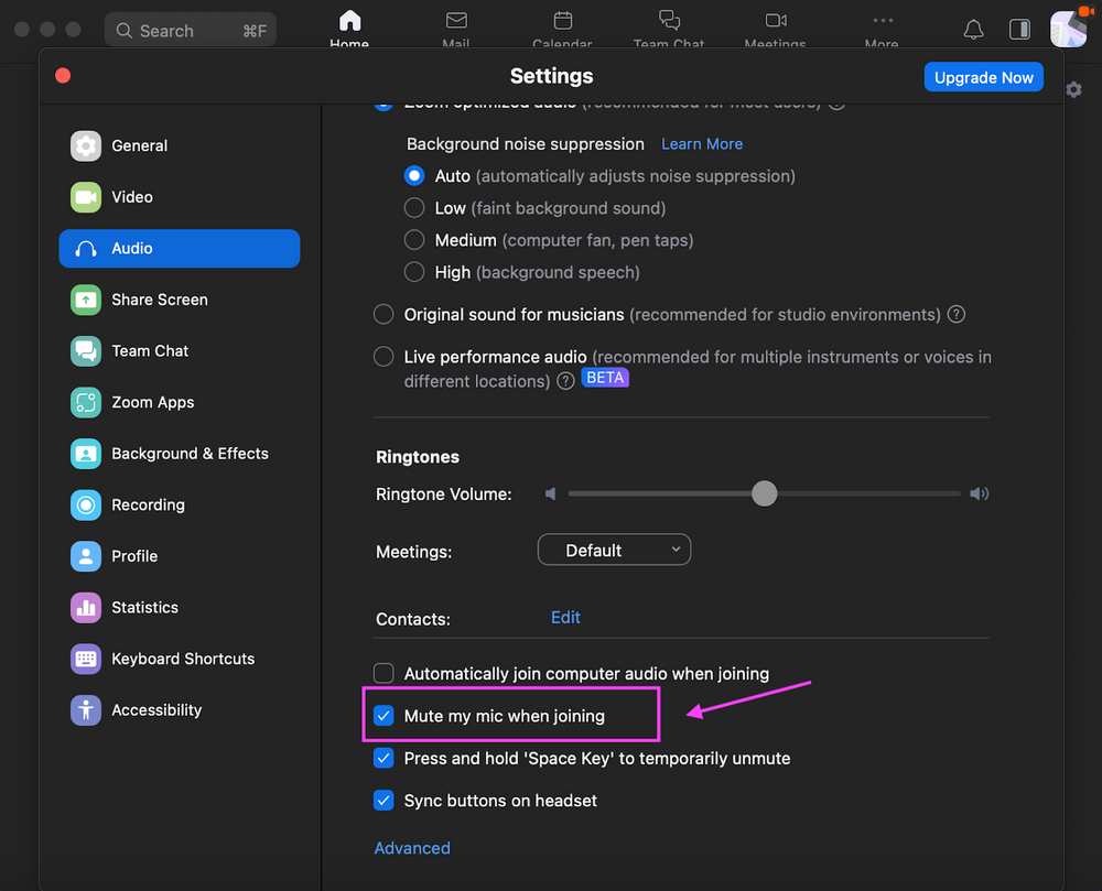 How To Mute a Zoom Meeting (Mobile & PC)